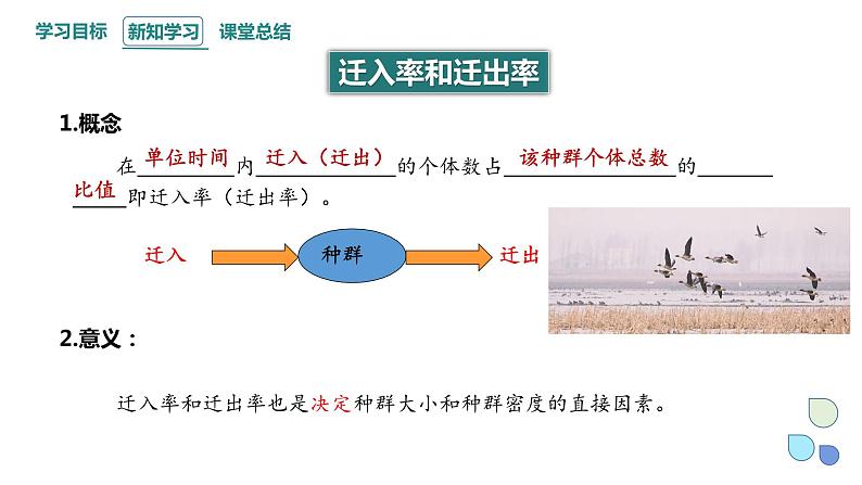 1.1 课时2  种群的数量特征   课件 2023-2024学年高二生物人教版（2019）选择性必修2第7页