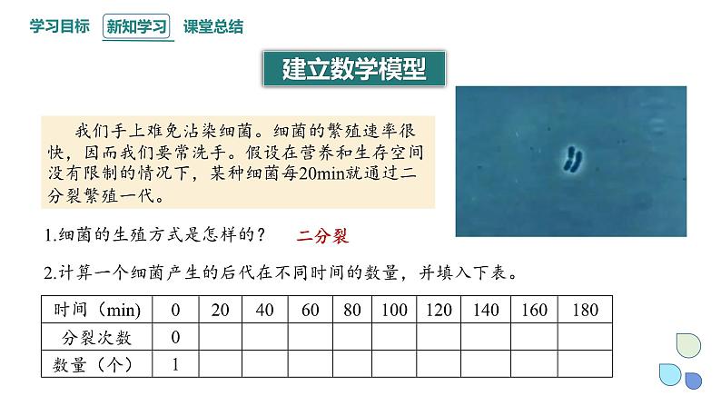 1.2 课时1  种群数量的变化    课件 2023-2024学年高二生物人教版（2019）选择性必修2第3页