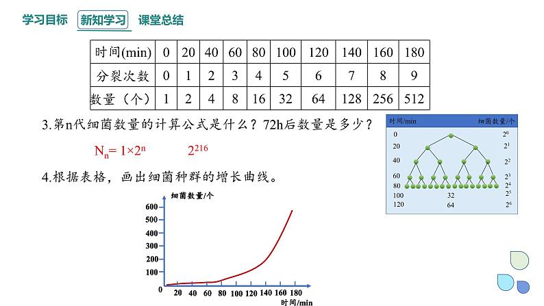 1.2 课时1  种群数量的变化    课件 2023-2024学年高二生物人教版（2019）选择性必修2第4页