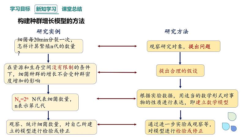 1.2 课时1  种群数量的变化    课件 2023-2024学年高二生物人教版（2019）选择性必修2第6页