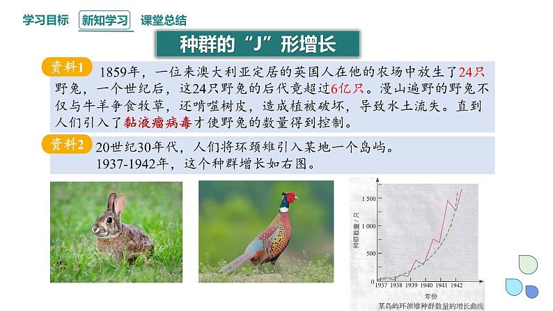 1.2 课时1  种群数量的变化    课件 2023-2024学年高二生物人教版（2019）选择性必修2第8页