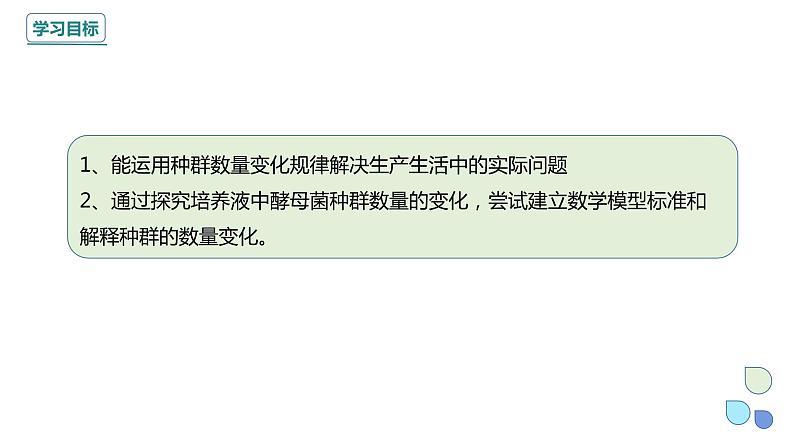 1.2 课时2  种群数量的变化    课件 2023-2024学年高二生物人教版（2019）选择性必修2第2页