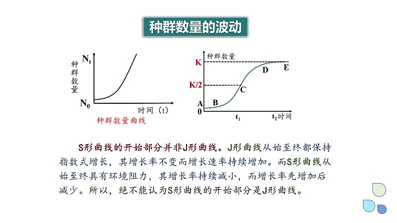 1.2 课时2  种群数量的变化    课件 2023-2024学年高二生物人教版（2019）选择性必修2第3页