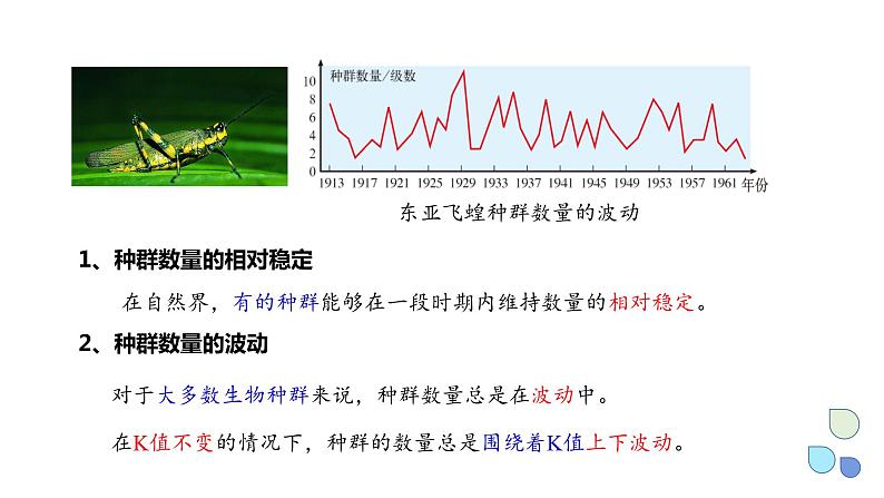 1.2 课时2  种群数量的变化    课件 2023-2024学年高二生物人教版（2019）选择性必修2第4页