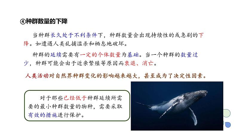 1.2 课时2  种群数量的变化    课件 2023-2024学年高二生物人教版（2019）选择性必修2第6页