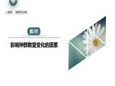 1.3 影响种群数量变化的因素   课件 2023-2024学年高二生物人教版（2019）选择性必修2