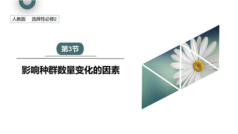 1.3 影响种群数量变化的因素   课件 2023-2024学年高二生物人教版（2019）选择性必修201