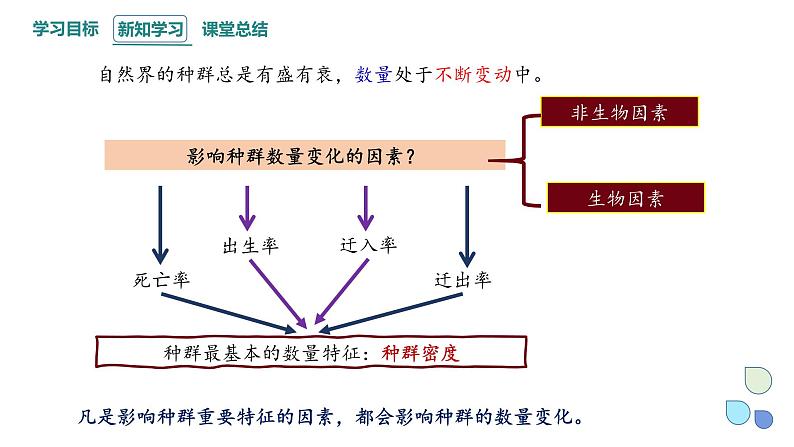 1.3 影响种群数量变化的因素   课件 2023-2024学年高二生物人教版（2019）选择性必修204