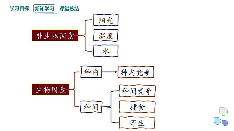 1.3 影响种群数量变化的因素   课件 2023-2024学年高二生物人教版（2019）选择性必修205