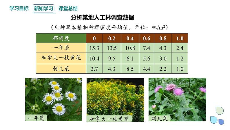 1.3 影响种群数量变化的因素   课件 2023-2024学年高二生物人教版（2019）选择性必修207