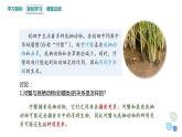 2.1 课时1  群落的结构    课件 2023-2024学年高二生物人教版（2019）选择性必修2