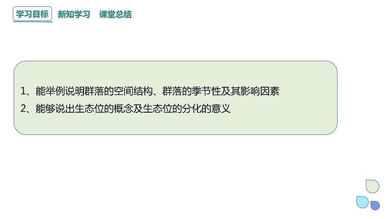 2.1 课时2  群落的结构    课件 2023-2024学年高二生物人教版（2019）选择性必修2第2页