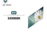 3.1 生态系统的结构   课件 2023-2024学年高二生物人教版（2019）选择性必修2