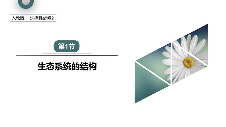 3.1 生态系统的结构   课件 2023-2024学年高二生物人教版（2019）选择性必修2第1页