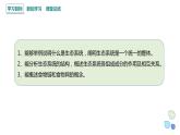 3.1 生态系统的结构   课件 2023-2024学年高二生物人教版（2019）选择性必修2