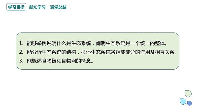 3.1 生态系统的结构   课件 2023-2024学年高二生物人教版（2019）选择性必修2第2页