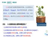 3.1 生态系统的结构   课件 2023-2024学年高二生物人教版（2019）选择性必修2