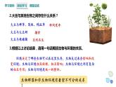 3.1 生态系统的结构   课件 2023-2024学年高二生物人教版（2019）选择性必修2