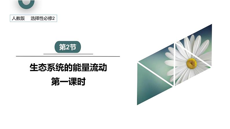 3.2 课时1  生态系统的能量流动   课件 2023-2024学年高二生物人教版（2019）选择性必修201