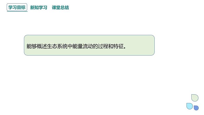 3.2 课时1  生态系统的能量流动   课件 2023-2024学年高二生物人教版（2019）选择性必修202