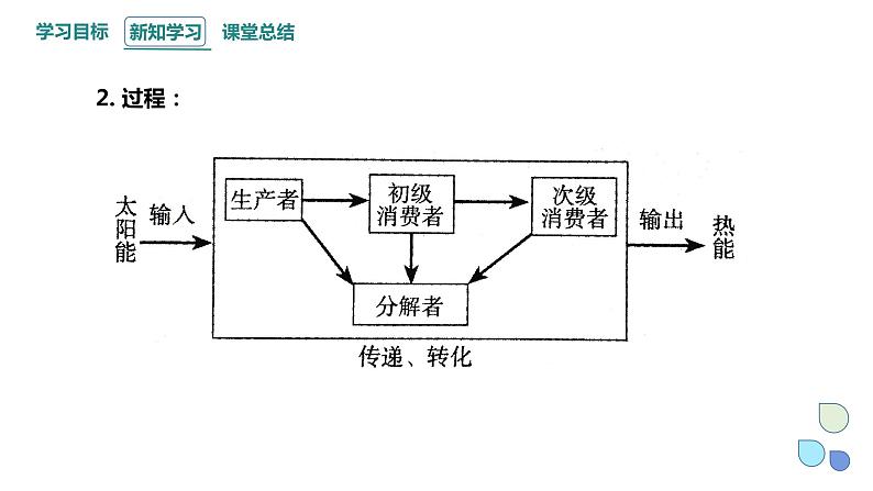 3.2 课时1  生态系统的能量流动   课件 2023-2024学年高二生物人教版（2019）选择性必修205