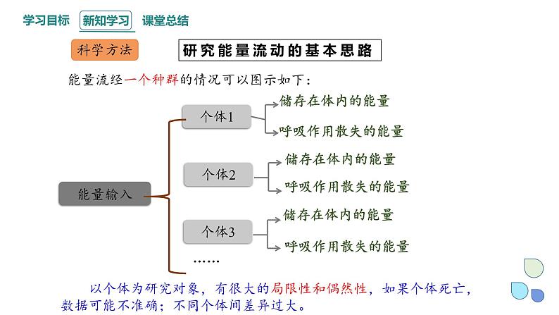 3.2 课时1  生态系统的能量流动   课件 2023-2024学年高二生物人教版（2019）选择性必修206