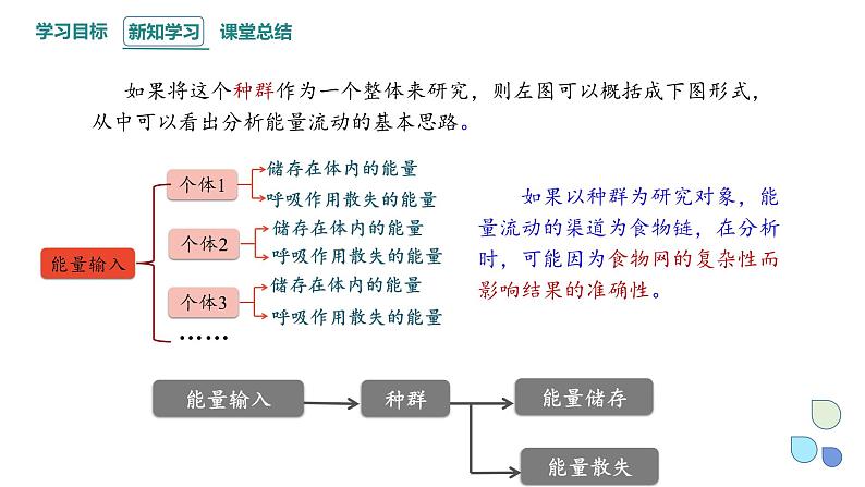 3.2 课时1  生态系统的能量流动   课件 2023-2024学年高二生物人教版（2019）选择性必修207