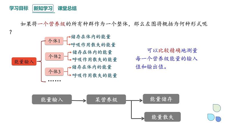 3.2 课时1  生态系统的能量流动   课件 2023-2024学年高二生物人教版（2019）选择性必修208