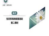 3.2 课时2  生态系统的能量流动    课件 2023-2024学年高二生物人教版（2019）选择性必修2