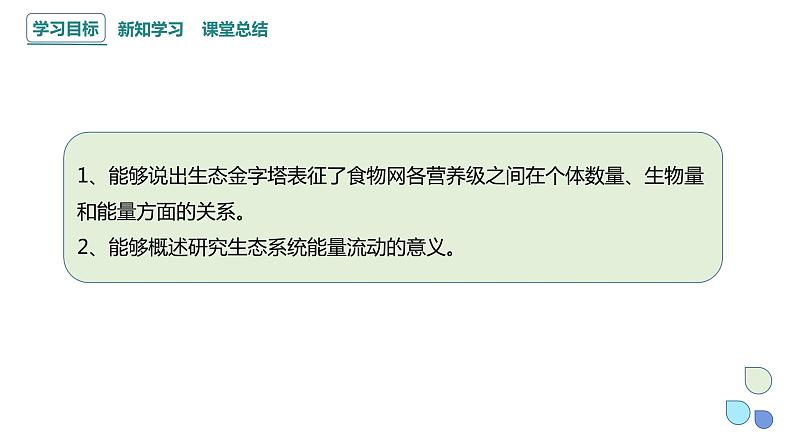 3.2 课时2  生态系统的能量流动    课件 2023-2024学年高二生物人教版（2019）选择性必修202