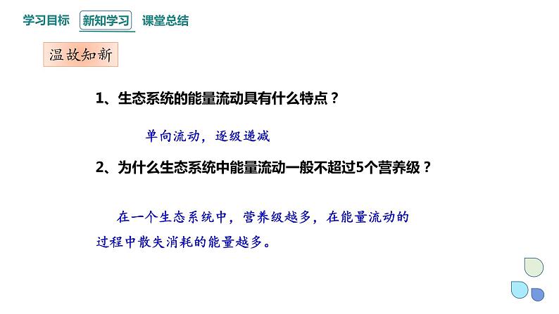 3.2 课时2  生态系统的能量流动    课件 2023-2024学年高二生物人教版（2019）选择性必修203