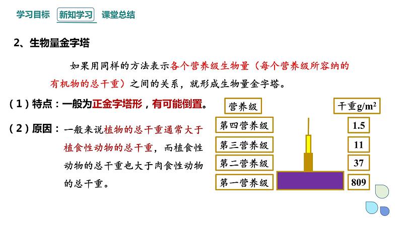 3.2 课时2  生态系统的能量流动    课件 2023-2024学年高二生物人教版（2019）选择性必修205