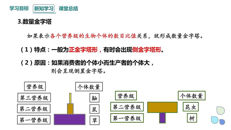 3.2 课时2  生态系统的能量流动    课件 2023-2024学年高二生物人教版（2019）选择性必修207