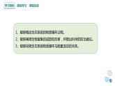 3.3 生态系统的物质循环   课件 2023-2024学年高二生物人教版（2019）选择性必修2