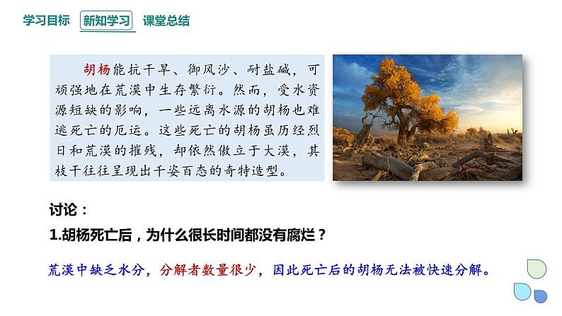 3.3 生态系统的物质循环   课件 2023-2024学年高二生物人教版（2019）选择性必修2第3页