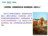 3.3 生态系统的物质循环   课件 2023-2024学年高二生物人教版（2019）选择性必修2