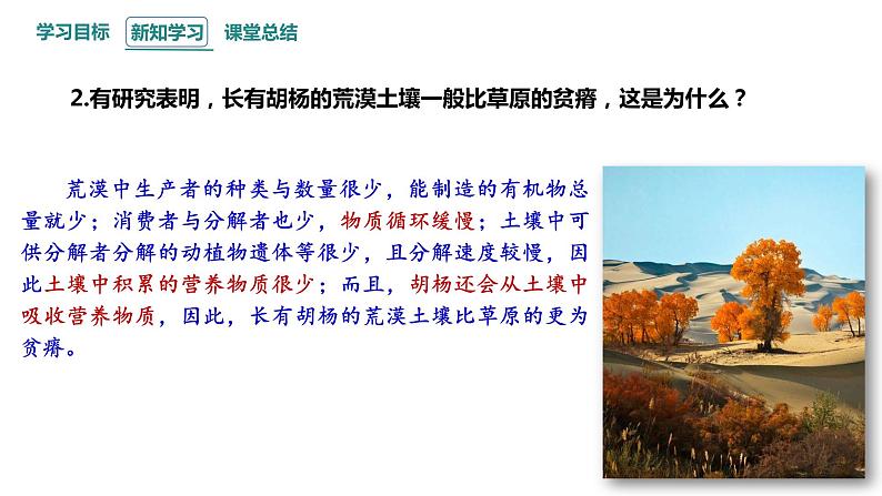 3.3 生态系统的物质循环   课件 2023-2024学年高二生物人教版（2019）选择性必修2第4页