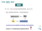 3.3 生态系统的物质循环   课件 2023-2024学年高二生物人教版（2019）选择性必修2
