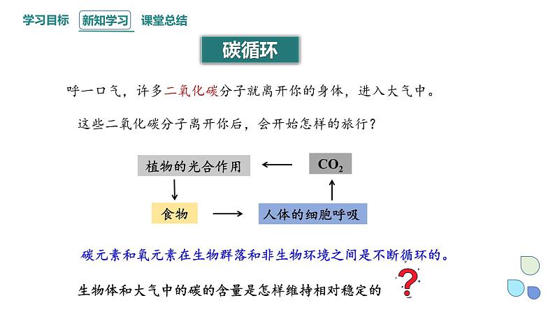 3.3 生态系统的物质循环   课件 2023-2024学年高二生物人教版（2019）选择性必修2第5页