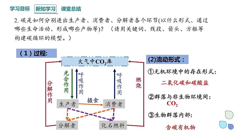 3.3 生态系统的物质循环   课件 2023-2024学年高二生物人教版（2019）选择性必修2第7页
