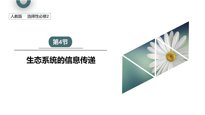 3.4 生态系统的信息传递   课件 2023-2024学年高二生物人教版（2019）选择性必修2第1页