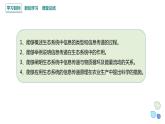 3.4 生态系统的信息传递   课件 2023-2024学年高二生物人教版（2019）选择性必修2