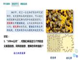3.4 生态系统的信息传递   课件 2023-2024学年高二生物人教版（2019）选择性必修2