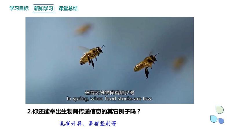 3.4 生态系统的信息传递   课件 2023-2024学年高二生物人教版（2019）选择性必修2第4页