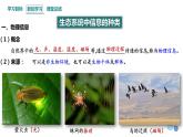 3.4 生态系统的信息传递   课件 2023-2024学年高二生物人教版（2019）选择性必修2