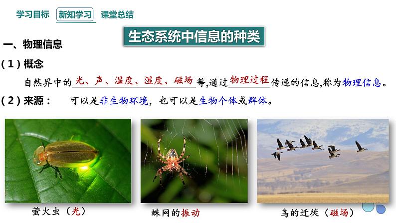 3.4 生态系统的信息传递   课件 2023-2024学年高二生物人教版（2019）选择性必修2第5页