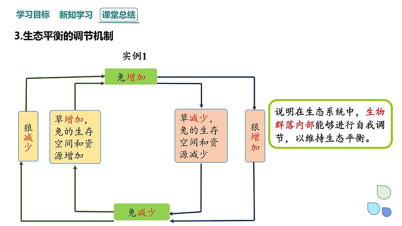 3.5 课时1  生态系统的稳定性    课件 2023-2024学年高二生物人教版（2019）选择性必修2第6页