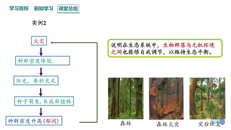 3.5 课时1  生态系统的稳定性    课件 2023-2024学年高二生物人教版（2019）选择性必修2第7页