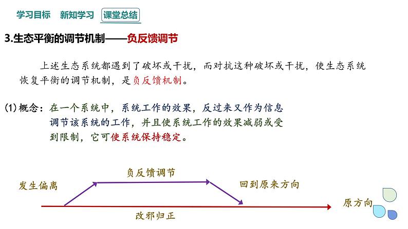 3.5 课时1  生态系统的稳定性    课件 2023-2024学年高二生物人教版（2019）选择性必修2第8页