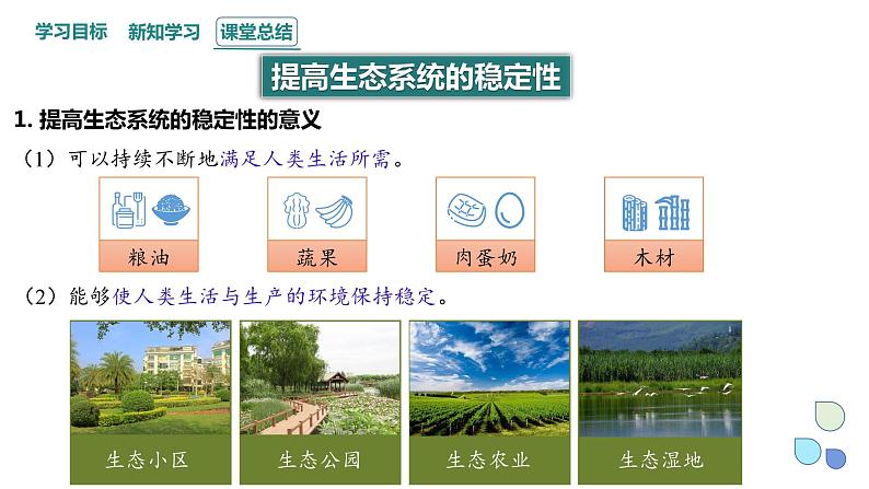 3.5 课时2  生态系统的稳定性   课件 2023-2024学年高二生物人教版（2019）选择性必修2第3页